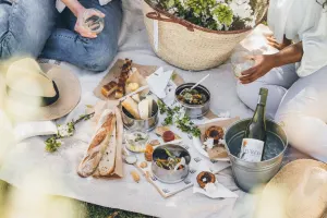 Spier Wine Tasting & Picnic